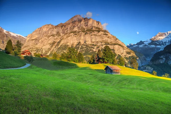 Impressionante campo verde ordenado com altas montanhas nevadas, Grindelwald, Suíça — Fotografia de Stock