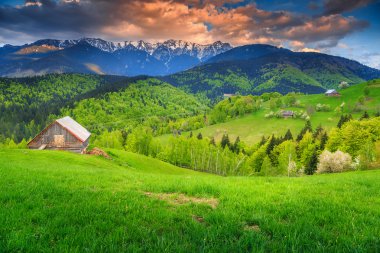 Kırsal manzara ve wilderness Bran, Transilvanya, Romanya, Europe yakınındaki bahar