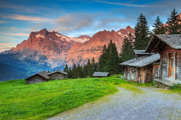 Paisagem rural alpina com antigos chalés de madeira, Grindelwald, Suíça, Europa — Fotografia de Stock