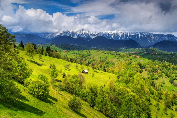 Summer landscape with snowy mountains near Brasov,Transylvania,Romania,Europe — Stock Photo, Image