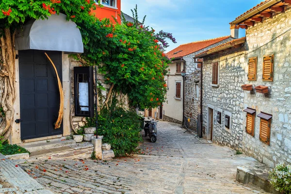 Middeleeuwse Kroatische oude straat, met bloemrijke entree in Rovinj, Europa — Stockfoto