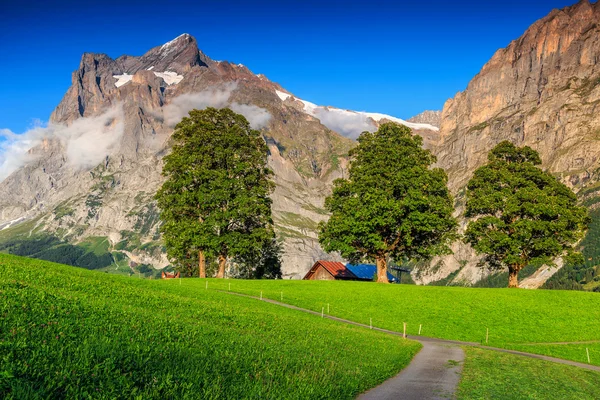 Θεαματική τακτική πράσινο λιβάδι με ψηλά χιονισμένα βουνά, Γκρίντεουαλντ, Ελβετία — Φωτογραφία Αρχείου