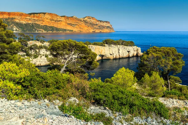 Calanques famosos de Port Pin em Cassis perto de Marselha, França — Fotografia de Stock