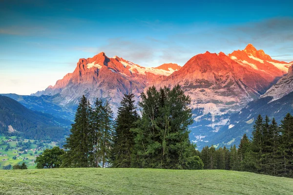 Alpine ländliche Landschaft mit hohen schneebedeckten Bergen, Grindelwald, Schweiz, Europa — Stockfoto
