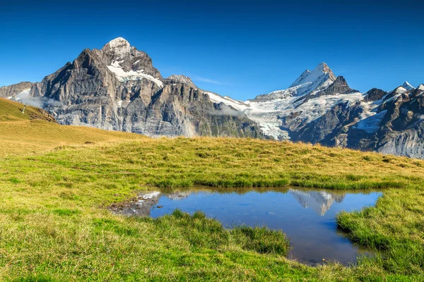 Hermosa tarn alpino, Grindelwald, Suiza, Europa — Foto de Stock