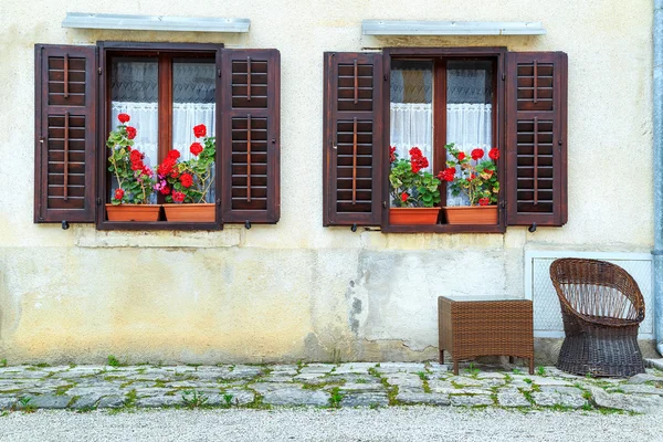 Ретро дом с красочными свежими цветами — стоковое фото