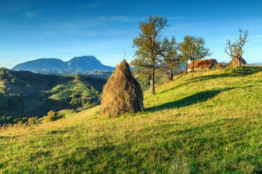 Sonbahar kırsal manzara ile saman balya, Holbav, Transilvanya, Romanya, Europe
