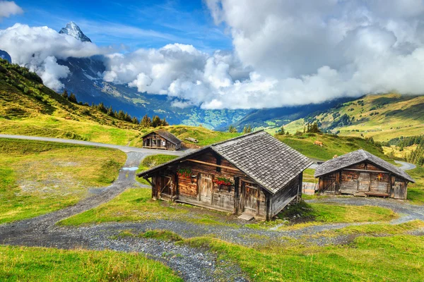 Typowe szwajcarskie alpejskie gospodarstwa agroturystyczne i góry Eiger, Oberland Berneński, Szwajcaria — Zdjęcie stockowe