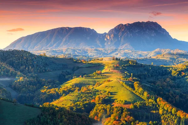 Impressionante paisagem de outono com floresta colorida, Holbav, Transilvânia, Romênia, Europa — Fotografia de Stock