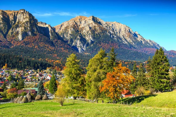 Wunderschöne grüne Wiesen mit bunten Wäldern, Busteni, Transsilvanien, Rumänien, Europa — Stockfoto