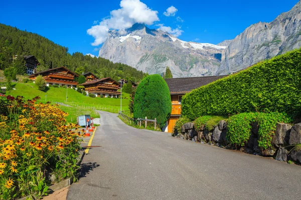 Wooden houses with amazing gardens and breathtaking views, Grindelwald, Bernese Oberland, Switzerland, Europe