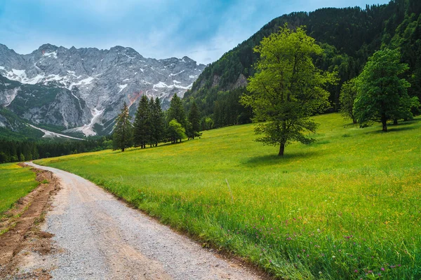 Úžasná Jarní Alpská Krajina Rozkvetlé Louky Vysoké Zasněžené Hory Jezerské — Stock fotografie
