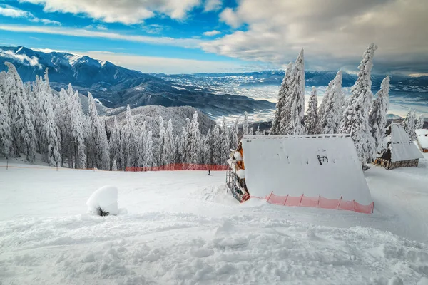 Paysages Hivernaux Enneigés Pistes Ski Dans Forêt Pins Chalets Alpins — Photo