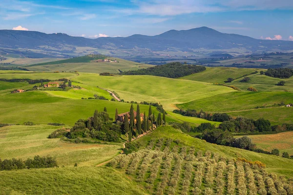 Pintoresco Paisaje Verano Con Carretera Rural Los Campos Grano Campo —  Fotos de Stock