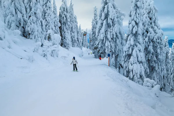 Pittoreska Snötäckta Tallar Och Majestätiska Vinterskidorter Aktiva Skidåkare Som Åker — Stockfoto