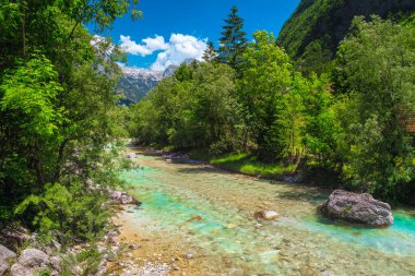 Avrupa 'da rafting ve kano yeri. Harika bir dinlenme yeri ve kano durağı. Majestic turkuaz Soca nehri ve yeşil orman, Bovec, Slovenya, Avrupa