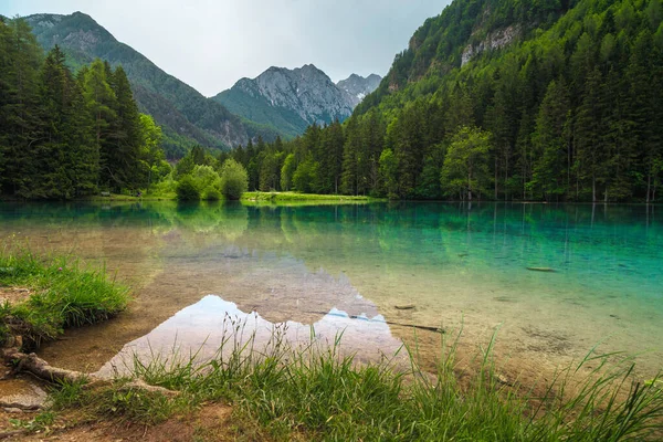 Alpint Sommarlandskap Med Vacker Fjällsjö Plansarsko Sjö Med Grön Skog — Stockfoto