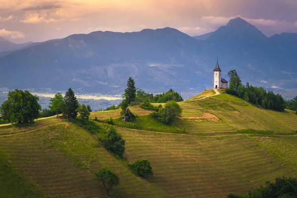 Mountain scenery with church on the mountain ridge. Colorful sunset scenery and cute Saint Primoz church with high mountains in background, Jamnik village, Slovenia, Europe