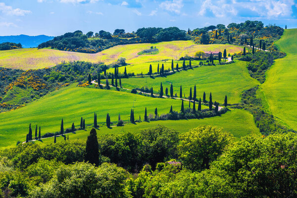 Летний пейзаж с загородной извилистой дорогой в поле. Вид на типичный сельский пейзаж Тосканы, Италия, Европа