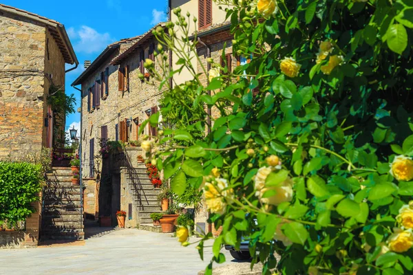 Gezellige Straatjes Met Bloemrijke Ingangen Rustieke Stenen Huizen Monticchiello Toscane — Stockfoto