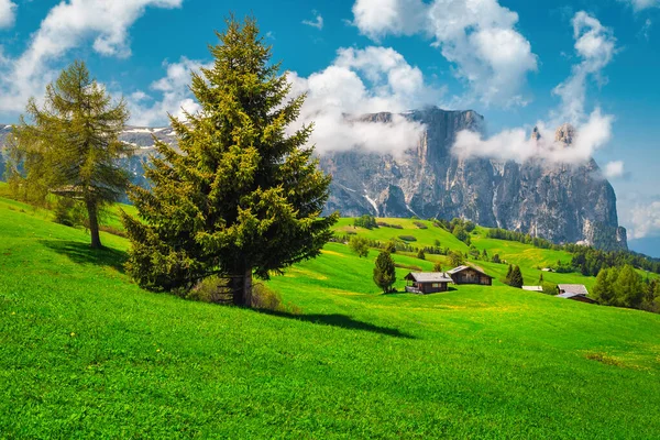 Söta Trähus Alpina Gröna Fälten Och Spektakulära Berg Bakgrunden Alpe — Stockfoto