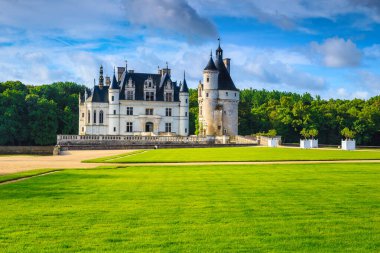 Muhteşem yeşil çayırlar ve Chenonceau Kalesi 'nin görkemli süs bahçesi, Loire Vadisi, Fransa, Avrupa