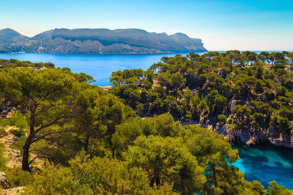 Baía Calanques Port Pin Com Pinheiros Parque Nacional Calanques Cassis — Fotografia de Stock