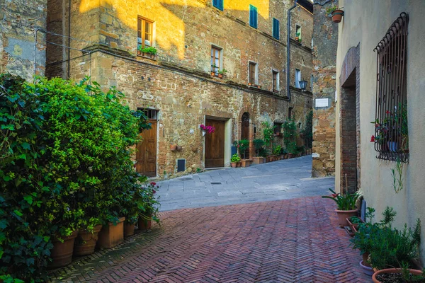 見事なタスカン通りの景色 幻想的な中世のレンガ造りの家や舗装された通り カラフルな花や緑の植物と装飾された入り口 トスカーナ州 イタリア ヨーロッパ — ストック写真