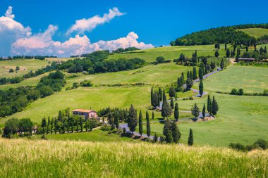 Tahıl tarlalarında kırsal dolambaçlı yolu olan huzurlu bir yaz manzarası. Tipik Toskana kırsal manzarası ile şaşırtıcı manzara, İtalya, Avrupa