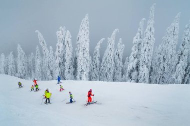 Muhteşem kar kaplı ağaçlar ve sisli kış kayak merkezi. Aktif çocuk kayakçılar, Brasov 'un ünlü kayak merkezi Transilvanya, Romanya ve Avrupa' da yokuş aşağı kayıyorlar.