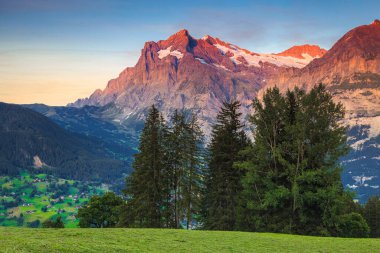 Güzel alp manzarası ve arka planda Wetterhorn zirvesi olan muhteşem günbatımı, Grindelwald, Bernese Oberland, İsviçre, Avrupa