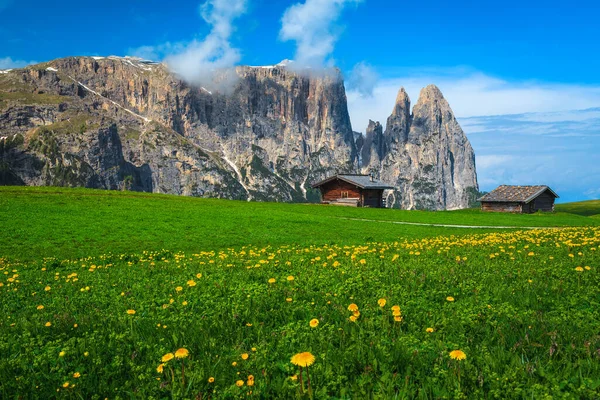 Stunning Alpe Siusi Mountain Resort Flowery Green Fields Blue Sky — Stock Photo, Image