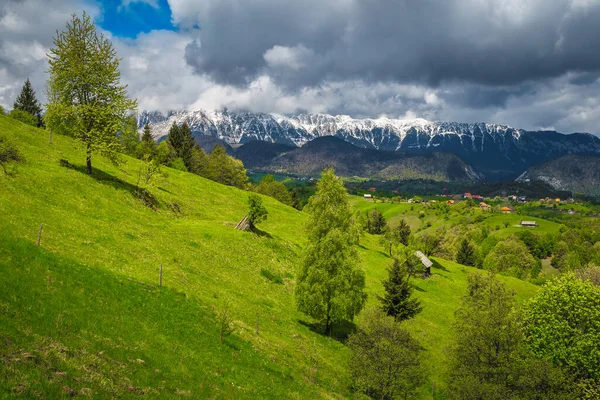 Amazing Summer Countryside Scenery Green Fields Slopes High Snowy Piatra — Stock Photo, Image