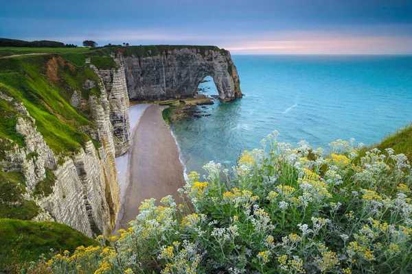 Beautiful scenery with colorful flowers on the slope and rocky coastline in Normandy, Etretat, France, Europe