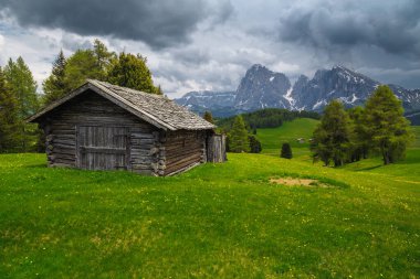 Alp çiçekli yeşil çayırlardaki ahşap ahır. Bulutlu gökyüzü ve arka planda güzel karlı dağlar, Alpe di Siusi, Dolomitler, İtalya, Avrupa