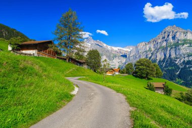 Yokuşta ahşap binalar ve kiremitler. Tepedeki dar kırsal yol ve arkadaki karlı dağlar, Grindelwald, Bernese Oberland, İsviçre, Avrupa
