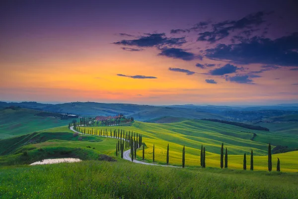 Fantastic Summer Colorful Sunset Landscape Tuscany Wonderful Flowery Grain Fields — Stock Photo, Image