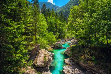 Avrupa 'da iyi bilinen rafting ve kano yeri. Dinlenme yeri ve kano durağı. Muhteşem Soca nehri ve yeşil ormandaki vadi, Bovec, Slovenya, Avrupa