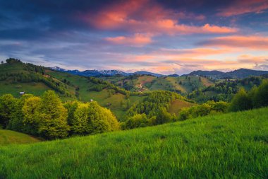 Gün batımında dik yamaçlarda yeşil tarlalar ve ahşap kulübelerle nefes kesici kır manzarası, Moieciu de Jos, Romanya, Avrupa