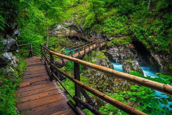 Admirable Deep Vintgar Gorge Wooden Footbridge Radova River Forest Great — Stock Photo, Image