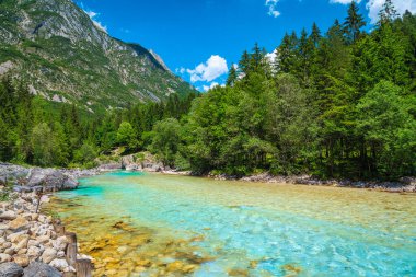 Avrupa 'da ünlü rafting ve kano yerleri. İyi bilinen bir dinlenme yeri ve kano durağı. Güzel turkuaz Soca nehri ve yeşil orman, Bovec, Slovenya, Avrupa