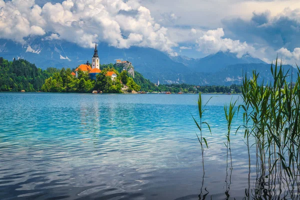 Bela Vista Panorâmica Margem Lago Com Igreja Castelo Bled Eslovênia — Fotografia de Stock