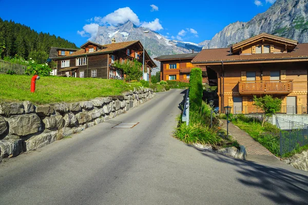 Wspaniały Widok Ulicę Drewnianych Domów Ogrodów Grindelwald Górskiej Miejscowości Bernese — Zdjęcie stockowe