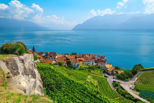 Schöne Aussicht Vom Hügel Mit Terrassenförmigen Weinbergen Und Dem Dorf — Stockfoto