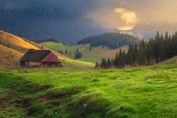 Häpnadsväckande Alpin Landsbygd Med Gröna Fält Och Höga Dimmiga Piatra — Stockfoto
