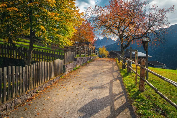カラフルな落葉樹と秋の田園風景 カラフルな葉で覆われた狭い田舎道 フネス渓谷 ドロマイト イタリア ヨーロッパ — ストック写真