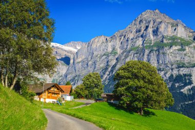 Ahşap evler ve yamaçtaki yeşil tarlalar. Tepedeki dar kırsal yol ve arka plandaki yüksek dağlar, Grindelwald, Bernese Oberland, İsviçre, Avrupa