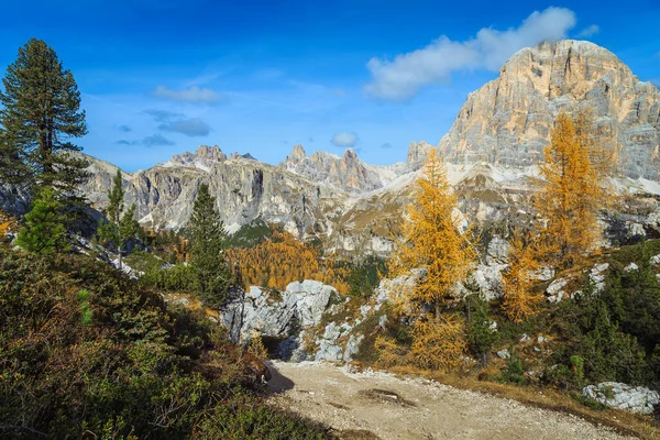 カラフルなカラフルなカラマツとドロミテ イタリア ヨーロッパの壮大な高い山と美しい高山の秋の風景 — ストック写真