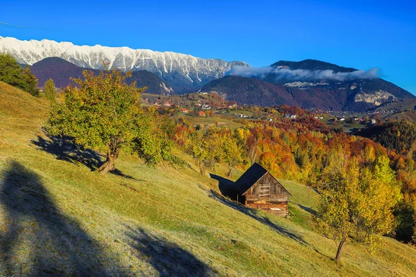 Beau Paysage Rural Automne Arbres Feuilles Caduques Colorés Sur Les — Photo