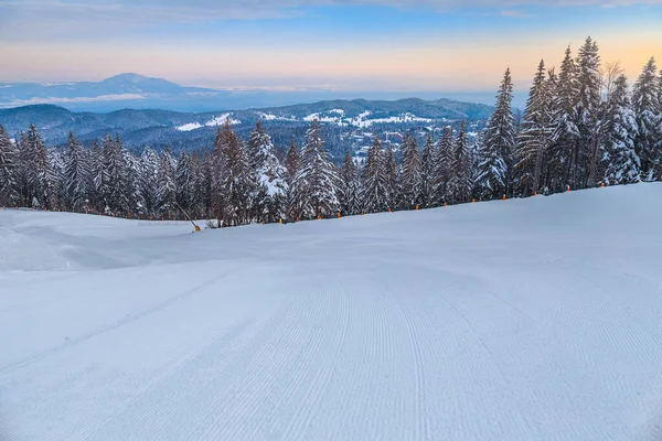 Increíbles Pinos Cubiertos Nieve Mágica Estación Esquí Invierno Vacía Amanecer —  Fotos de Stock